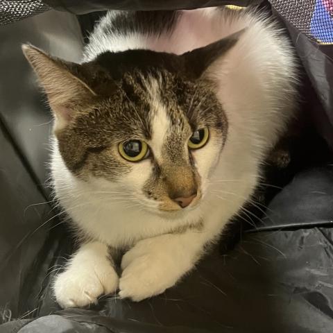 Photo for 157326 [Mia]