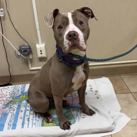 Photo for 157331 [H.E.R]