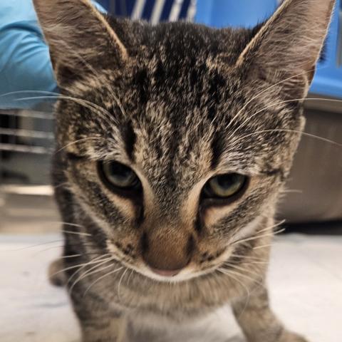 Photo for 157333 [382701]