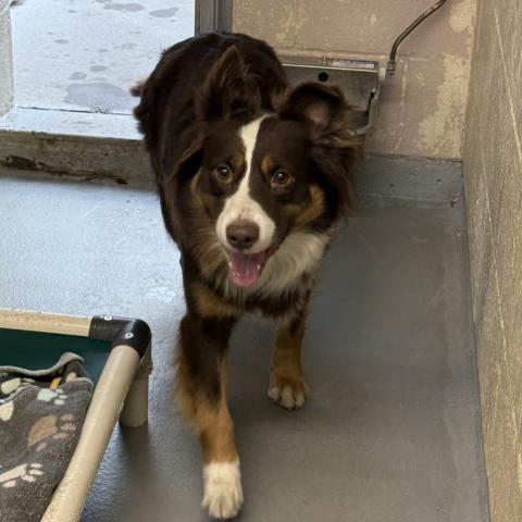 Photo for 157351 [382710]