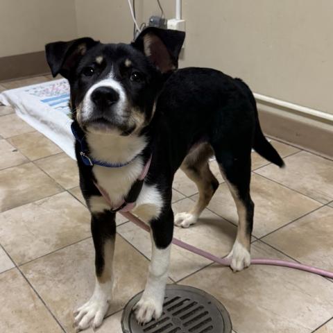 Photo for 157366 [Solo]