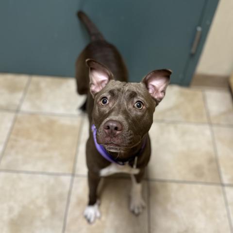 Photo for 157387 [Serena]