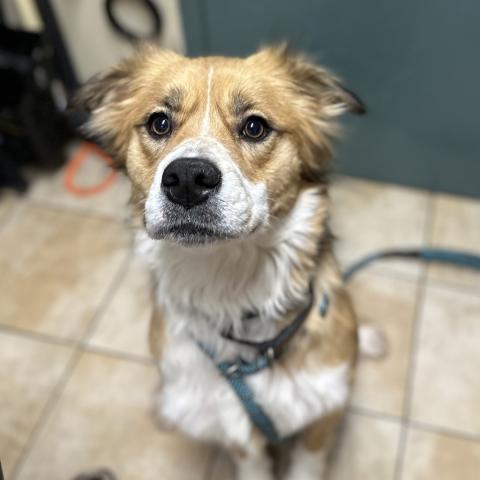 Photo for 157399 [Awesome]