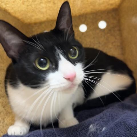 Photo for 157411 [Iris]