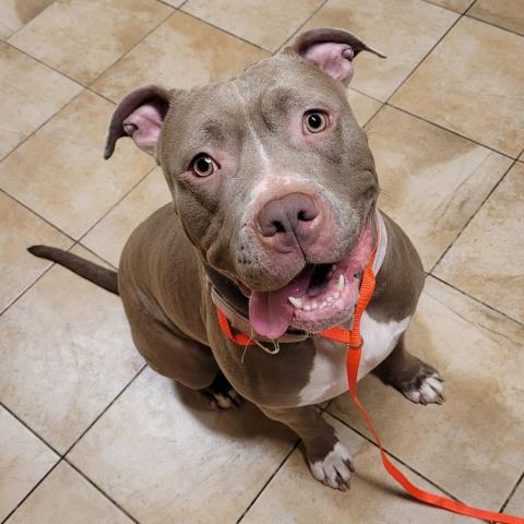 Photo for 157506 [Luna]