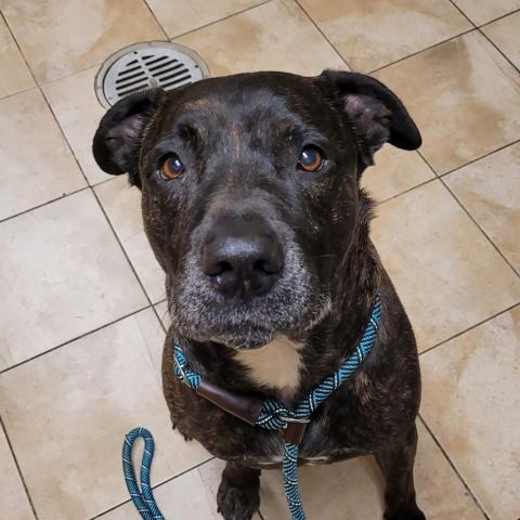 Photo for 157522 [Chance]