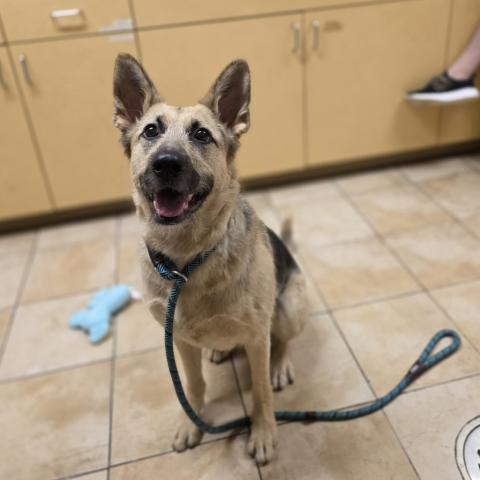 Photo for 157543 [Xanadu]