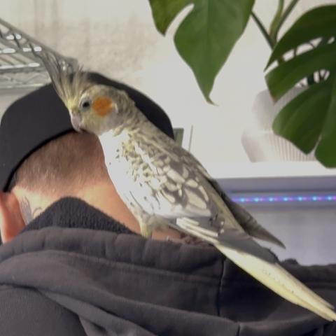 Photo for 157634 [Tuna]