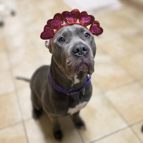 Photo for 157696 [Pepsi]