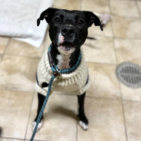 Photo for 157700 [Baby Girl]