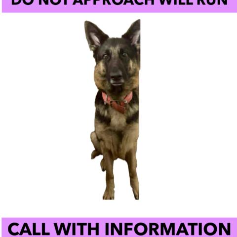 Photo for 157726 [Oakley]