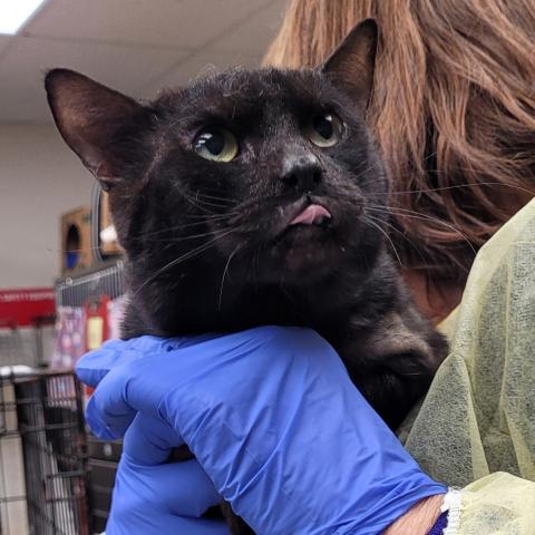 Photo for 157738 [Prince]