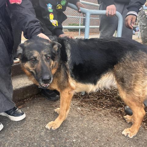 Photo for 157743 [fr157743]