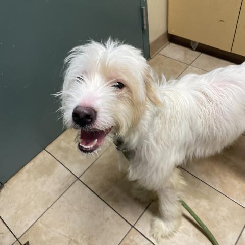 Photo for 157777 [Orville]