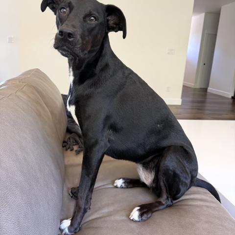 Photo for 157812 [Ginny]