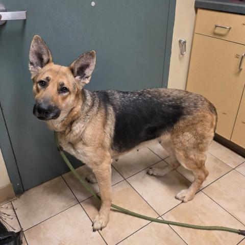 Photo for 157828 [Mindy]