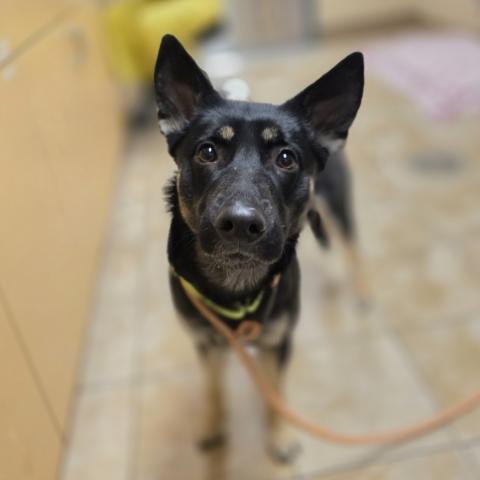 Photo for 157968 [D'Arcy]