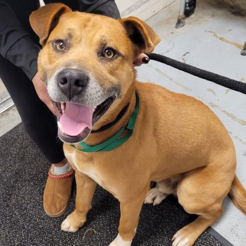 Photo for 157972 [Elroy]