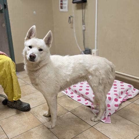 Photo for 158014 [Katja]