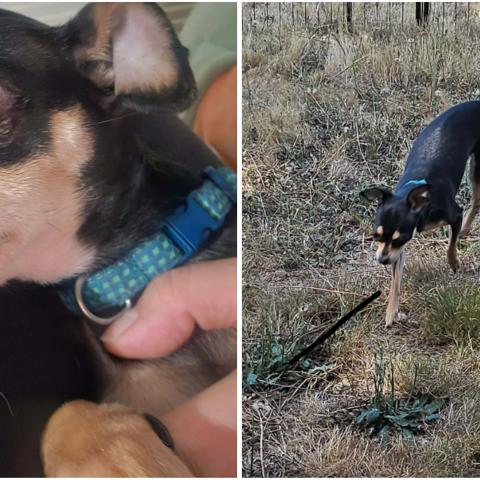 Photo for 158029 [ANGEL]