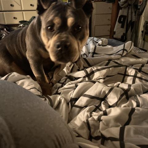 Photo for 158077 [fr158077]