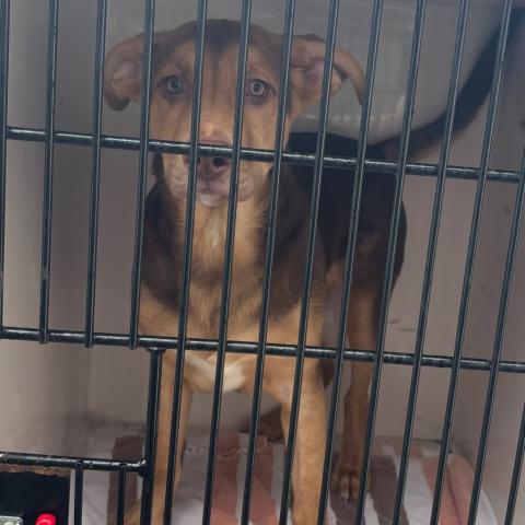 Photo for 158116 [Solo]