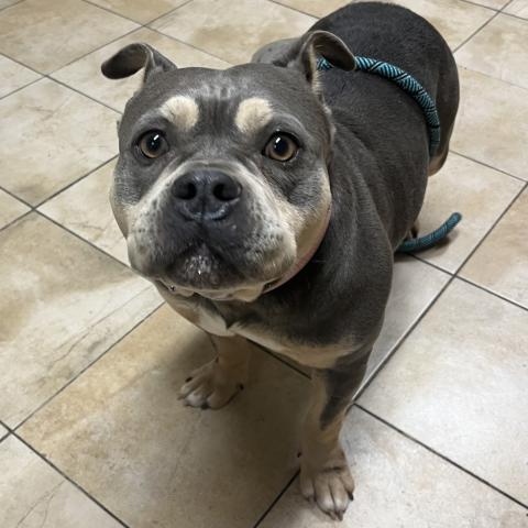 Photo for 158136 [Jane]