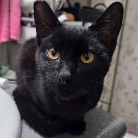 Photo for 158149 [fr158149]