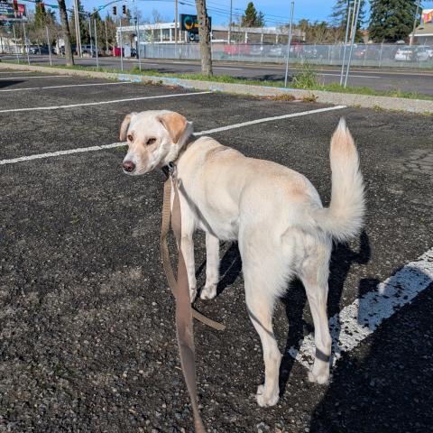 Photo for 158161 [fr158161]