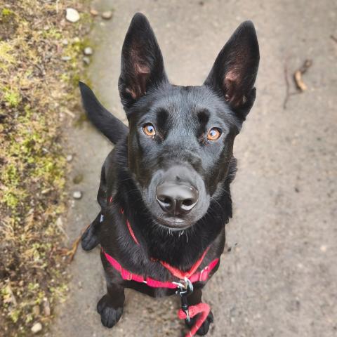 Photo for 158179 [Sophie]