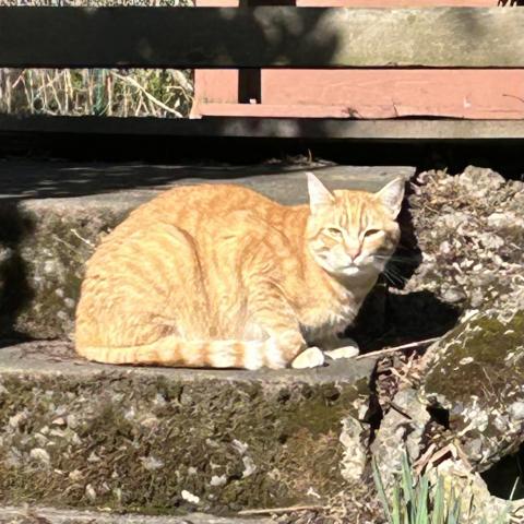 Photo for 158180 [fr158180]