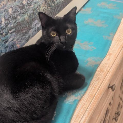 Photo for 158257 [Star]