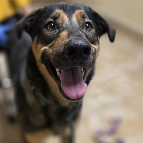 Photo for 158272 [Max]