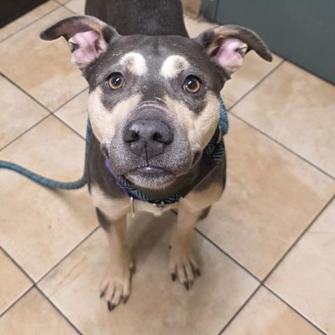 Photo for 158316 [Bonita]