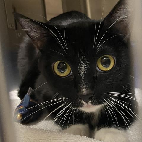 Photo for 158342 [Bubbles]