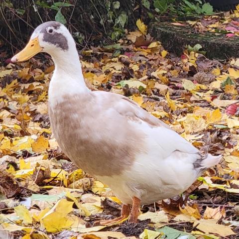 Photo for 158346 [August]