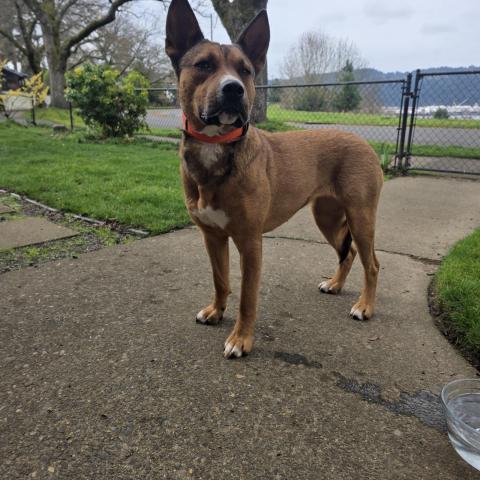 Photo for 158348 [fr158348]