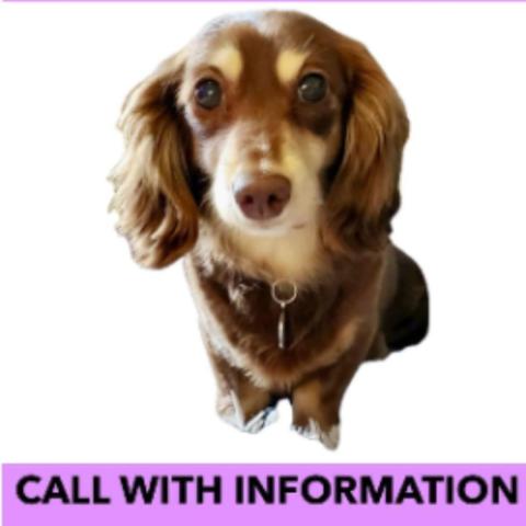 Photo for 158350 [Willa]