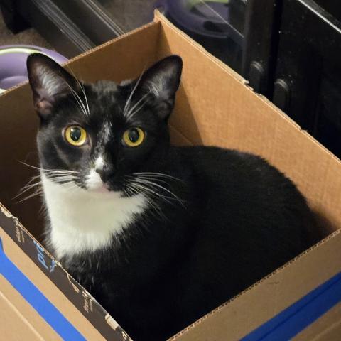 Photo for 158363 [Dolly]