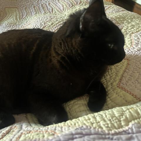 Photo for 158369 [Addie]