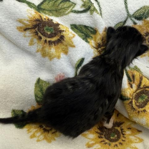 Photo for 158397 [384949]