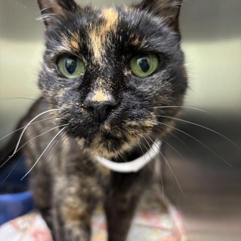 Photo for 158401 [384951]