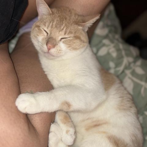 Photo for 158403 [Zeno]