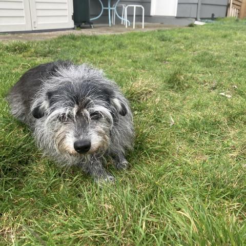 Photo for 158409 [Supernova]