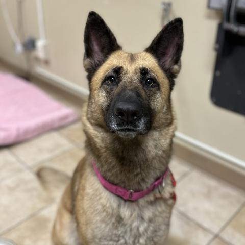 Photo for 158415 [Osa]