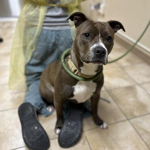 Photo for 158422 [Annabelle]