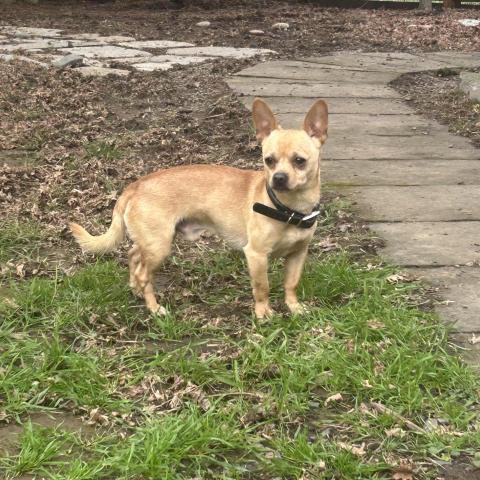 Photo for 158424 [fr158424]