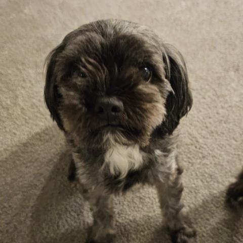 Photo for 158431 [Indie]