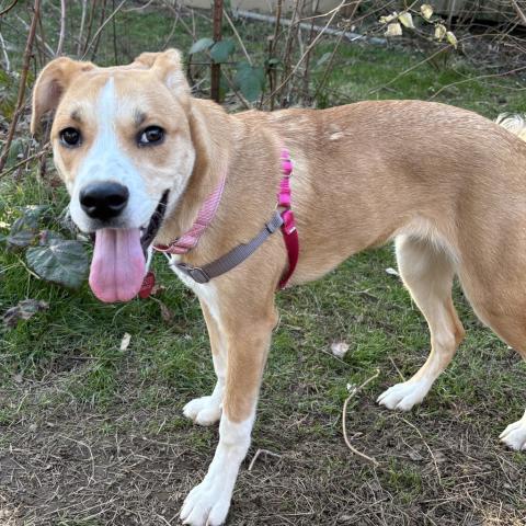 Photo for 158435 [Tiffany]