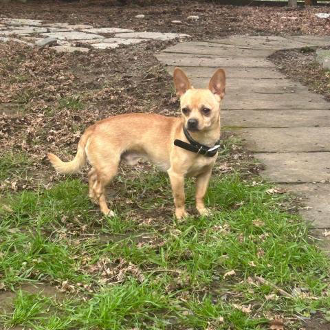 Photo for 158440 [fr158440]